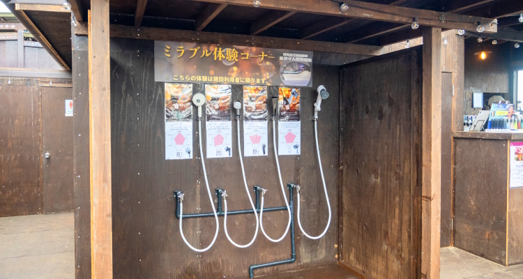 ソーダと江ノ島